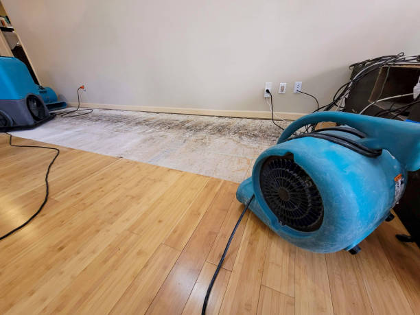 Professional Burst Pipe Water Damage technician working in Pelham, AL